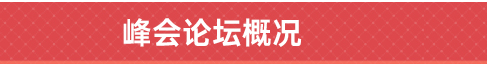 峰會論壇概況